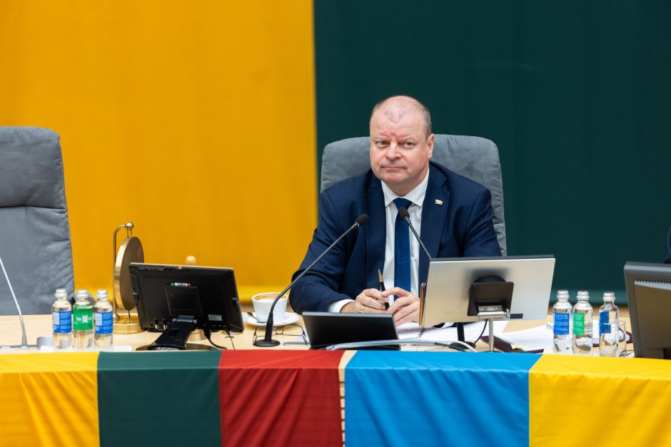 Seimas svarsto dėl G. Palucko kandidatūros