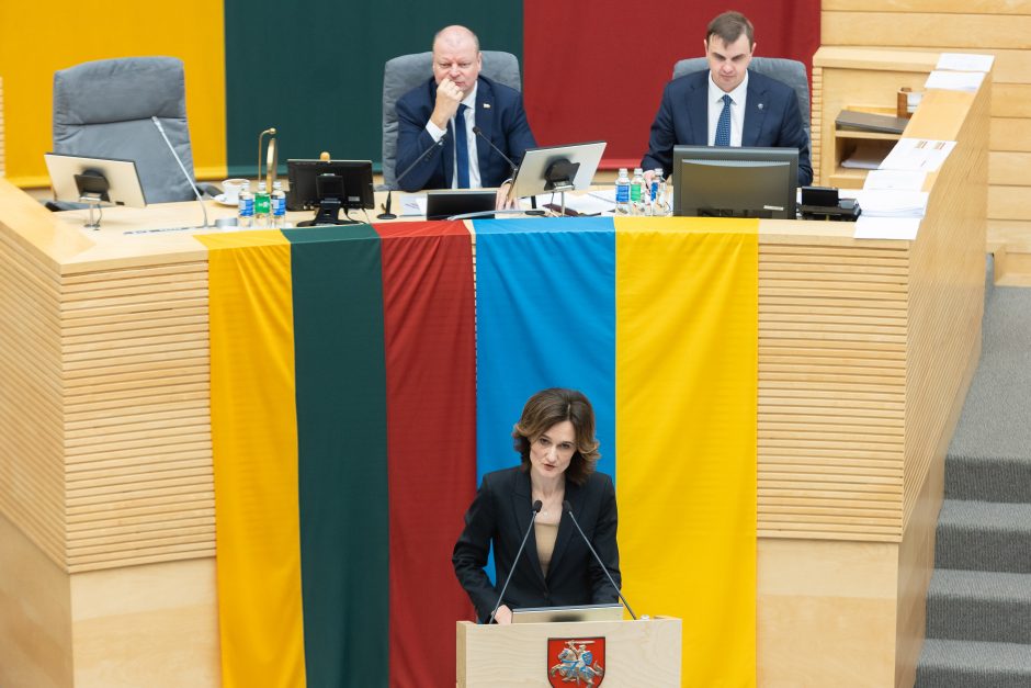 Seimas svarsto dėl G. Palucko kandidatūros