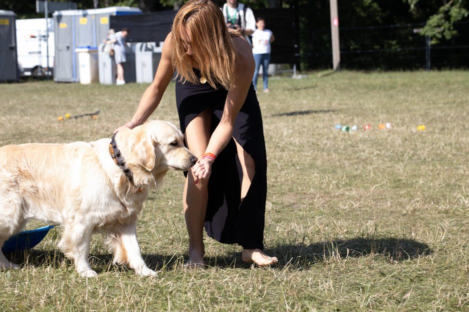 Festivalis „Bliuzo naktys“: saulė, muzika ir laisvė