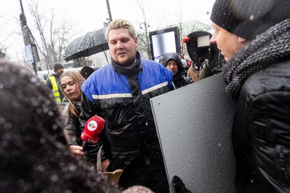 Vilniuje – aplinkosaugininkų kontroprotestas: „Gėda pelėda, paukščiai nebegieda“