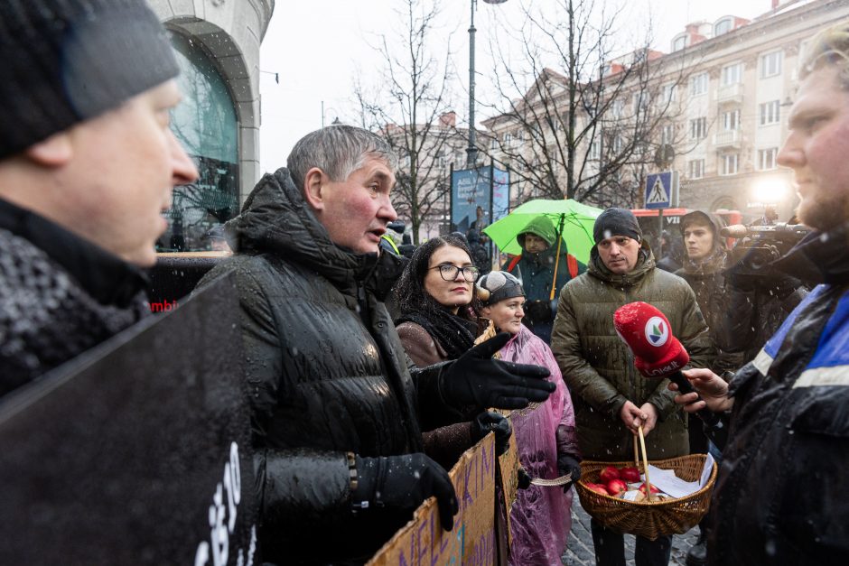 Vilniuje – aplinkosaugininkų kontroprotestas: „Gėda pelėda, paukščiai nebegieda“
