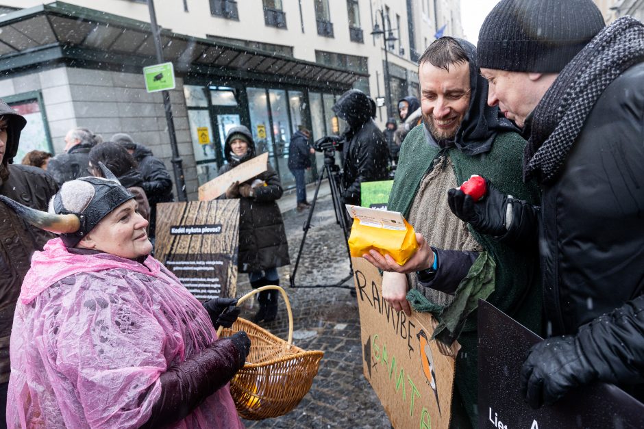 Vilniuje – aplinkosaugininkų kontroprotestas: „Gėda pelėda, paukščiai nebegieda“