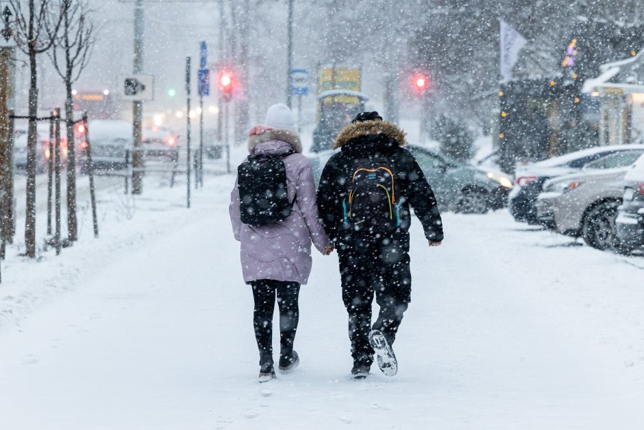 Vilniuje įsismarkauja pūga