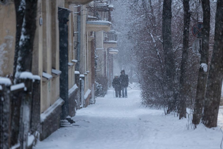 Vilniuje įsismarkauja pūga