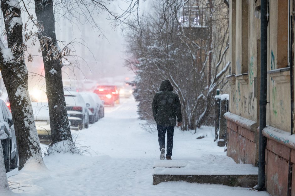 Vilniuje įsismarkauja pūga