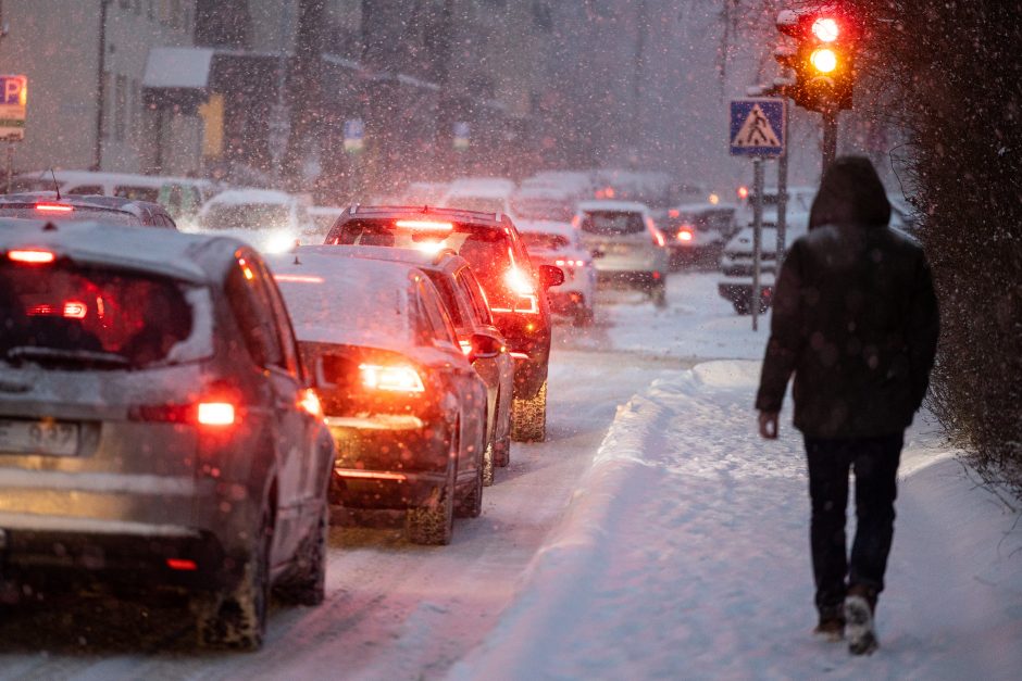 Vilniuje įsismarkauja pūga