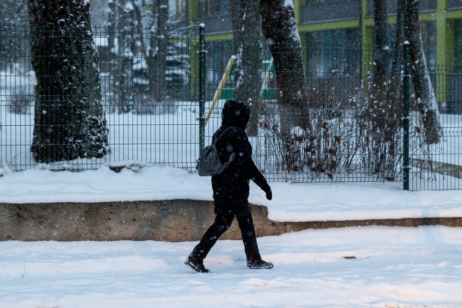 Vilniuje įsismarkauja pūga