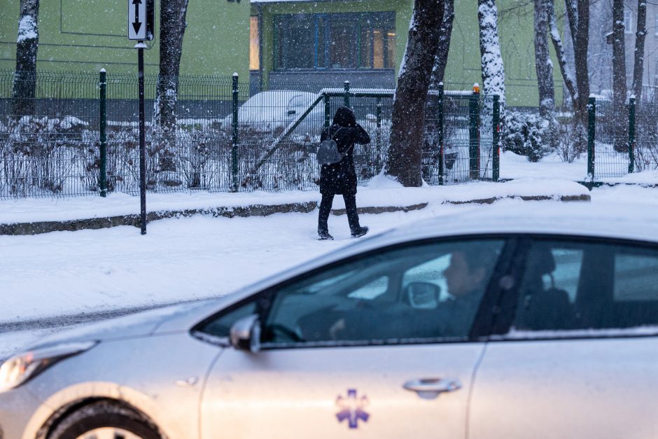 Vilniuje įsismarkauja pūga