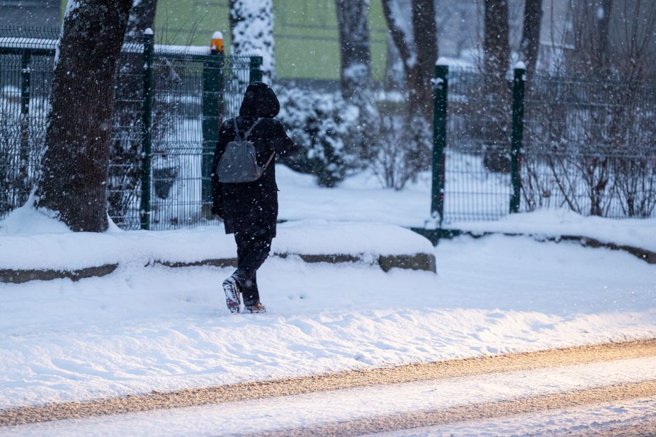 Vilniuje įsismarkauja pūga