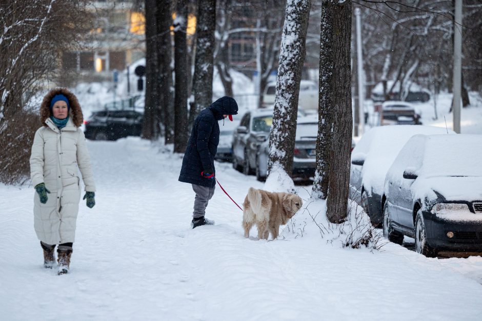 Vilniuje įsismarkauja pūga