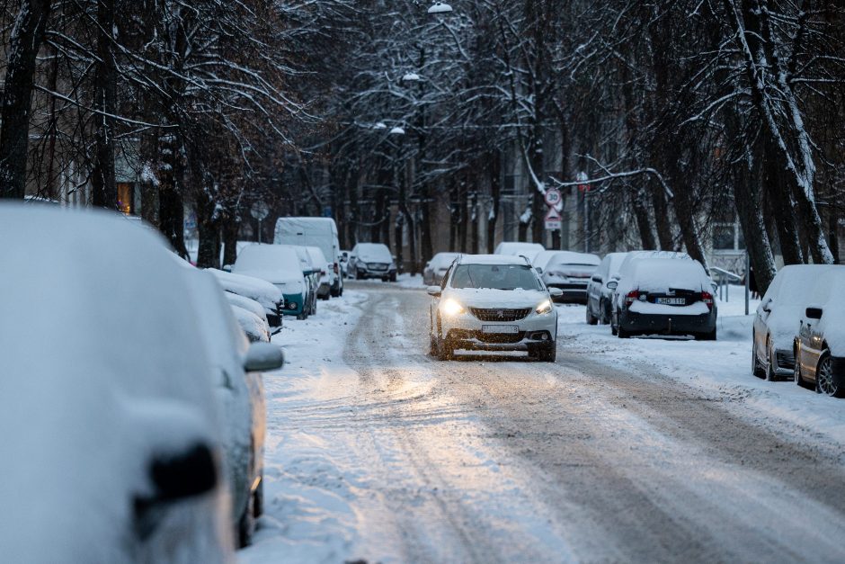 Vilniuje įsismarkauja pūga