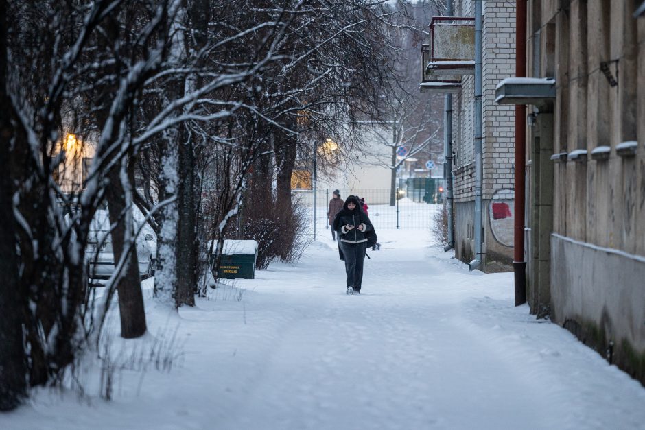 Vilniuje įsismarkauja pūga