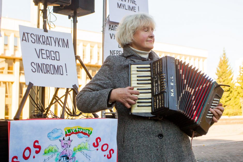 Profsąjungos Vilniuje ir Kaune rengia akcijas, ragins kovoti už savo teises