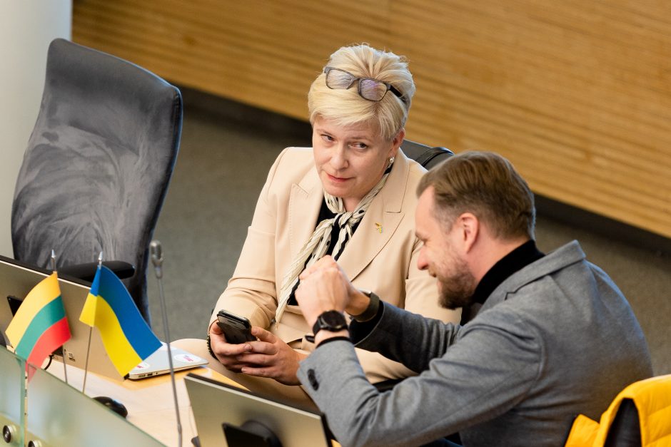 Seimo opozicinei Demokratų frakcijai vadovaus L. Savickas, Regionų – R. Tamašunienė