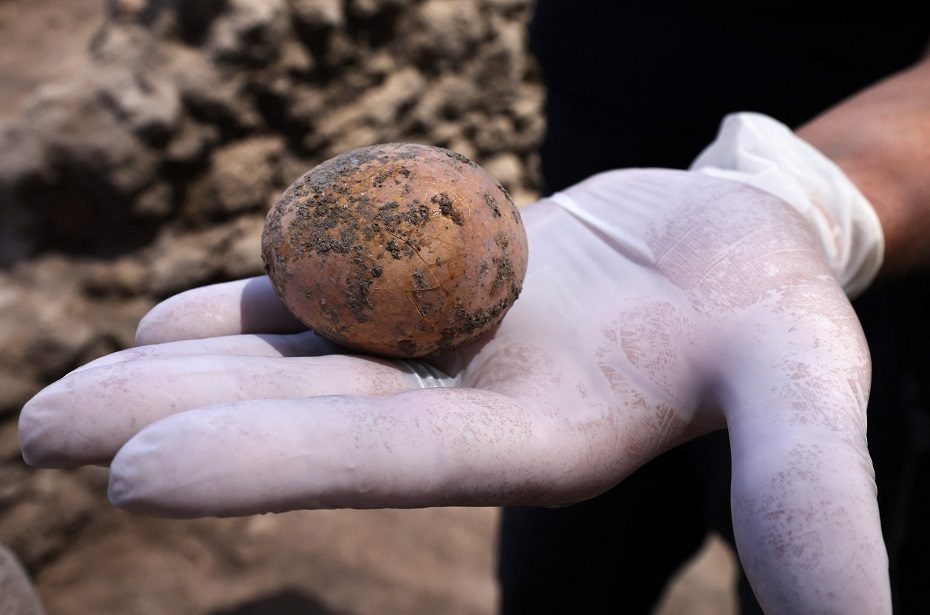 Izraelyje aptiktas 1000 metų senumo kiaušinis