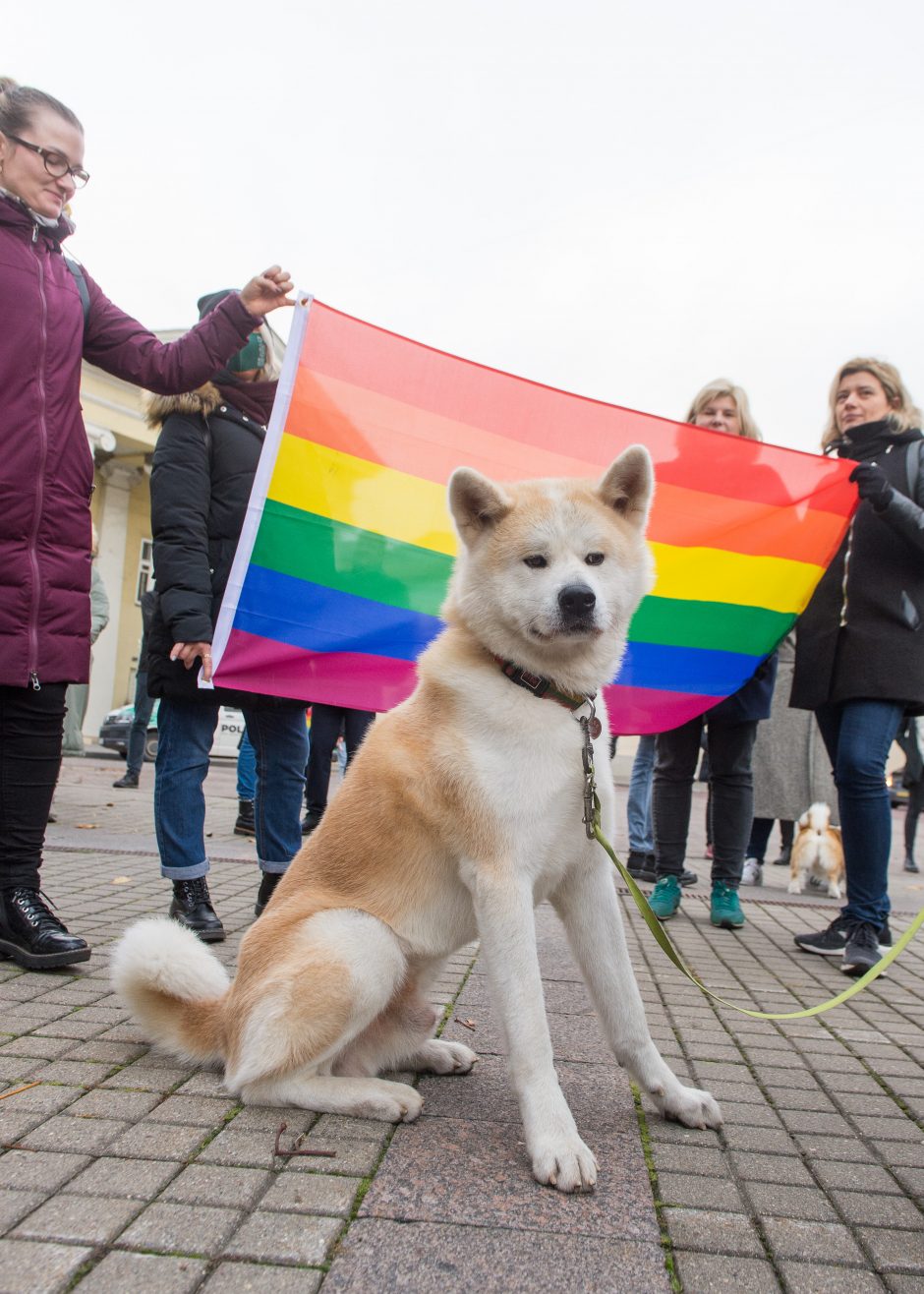 Prie Prezidentūros LGBT bendruomenę palaikė ir žinomi žmonės: žėrė kritiką valstybės vadovui