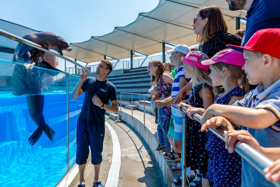 Naujajame delfinariumo pasirodyme – dėmesys ekologijai