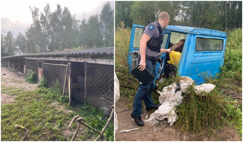 Širvintų siaubas: maišuose rasti negyvi šuniukai