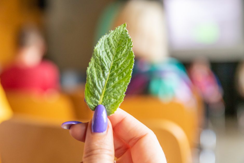 Muziejuje – prasminga iniciatyva: jei nesudėliosime minčių, mūsų niekas neprivers gyventi