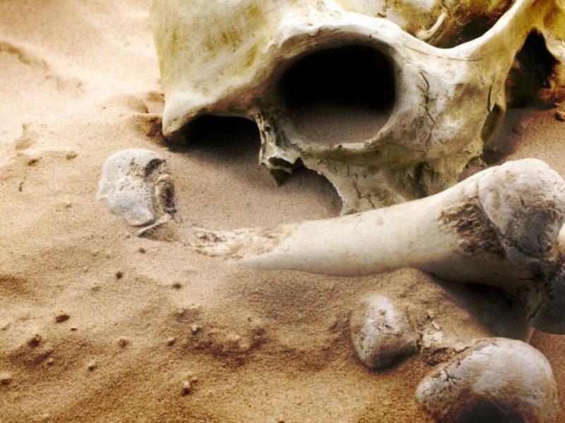 Trakų rajone rasta žmogaus kaukolė
