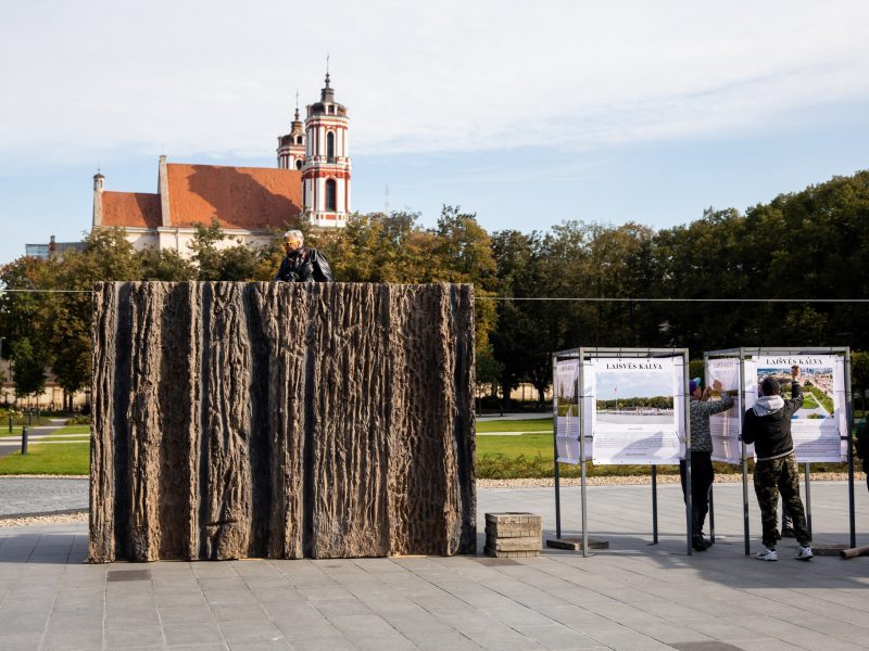 Lukiškių memorialui numatyti pinigai bus skirti komunaliniams mokesčiams?