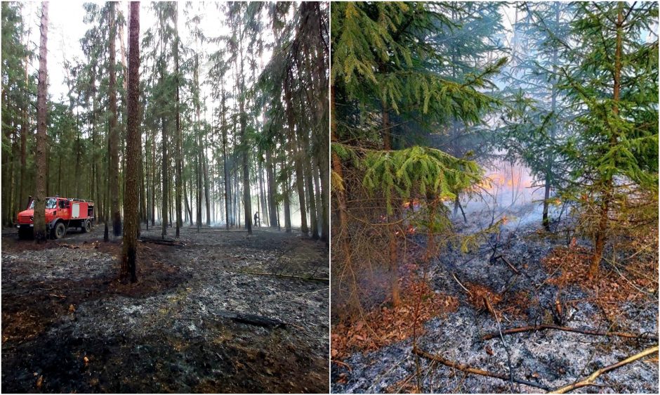 Ugniagesiai ir miškininkai savaitgalį gesino tris didelius miškų ir pievų gaisrus