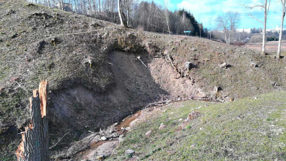 Gargždų piliakalniui skirti 300 tūkst. eurų tarsi perniek: po tvarkybos – griūtis?