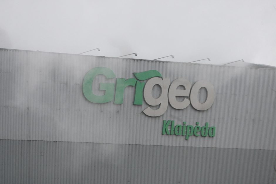 „Grigeo Klaipėdos“ taršos tyrimas – finišo tiesiojoje: gresia iki 5 mln. eurų bauda