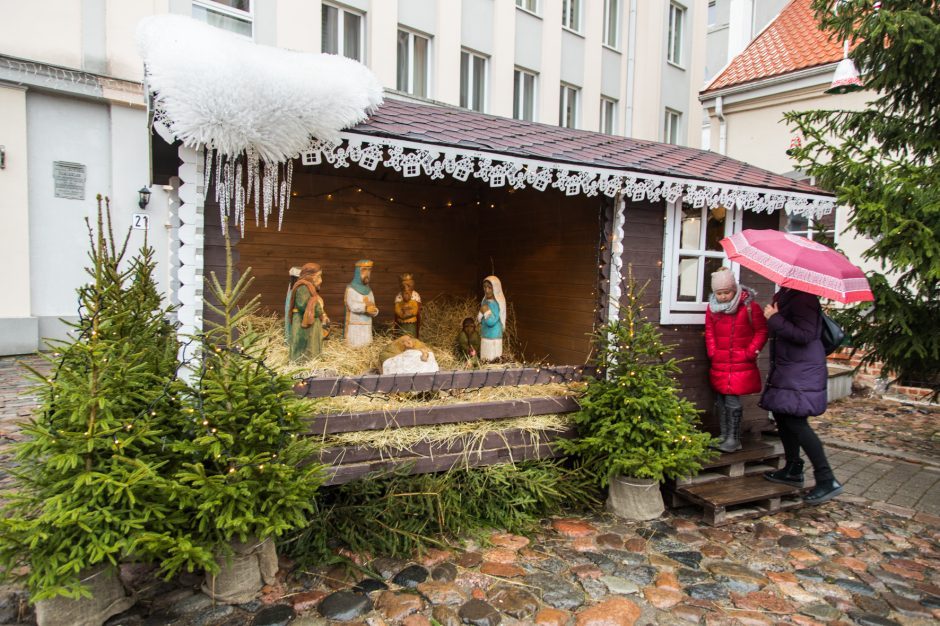 Kalėdinės prakartėlės lankytojus pasitinka ir penkių dienų ėriukas