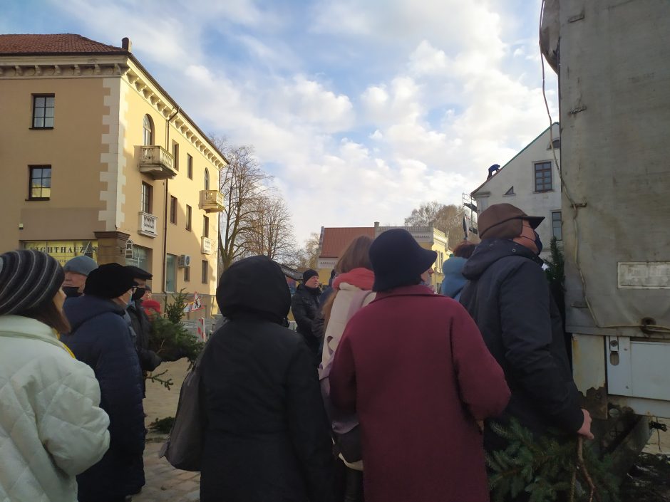 Miškininkai pradžiugino klaipėdiečius: į Teatro aikštę – eglišakių