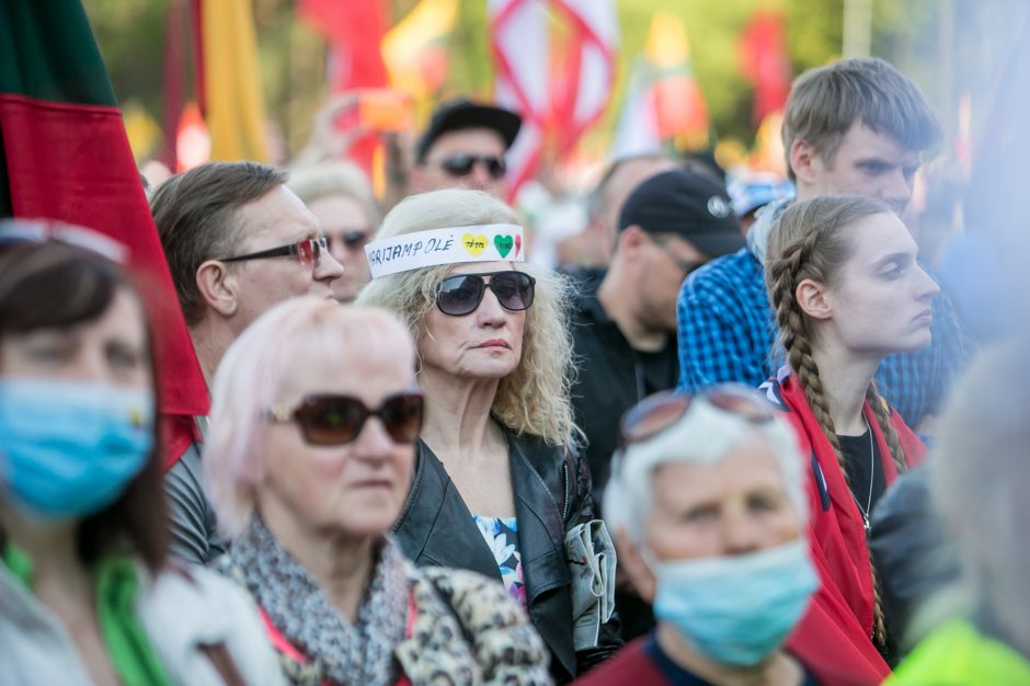 Seimo pirmininkė: akivaizdu, kad „Didžiajame šeimų gynimo marše“ nesilaikyta saugumo