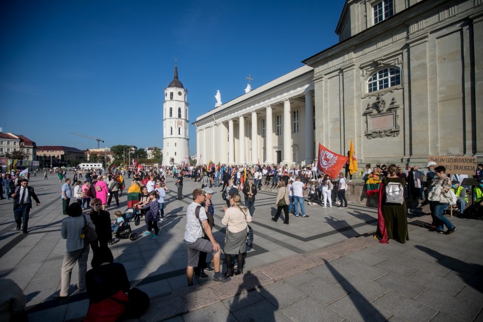 Žinomi žmonės apie mitingą: jau geriau Kaziuko mugė centre nei „šeimų gynėjai“