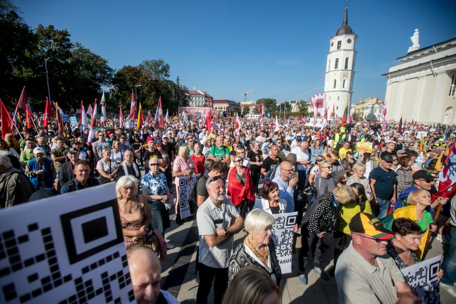 Žinomi žmonės apie mitingą: jau geriau Kaziuko mugė centre nei „šeimų gynėjai“