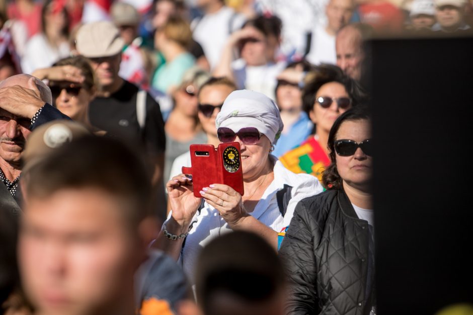 Žinomi žmonės apie mitingą: jau geriau Kaziuko mugė centre nei „šeimų gynėjai“