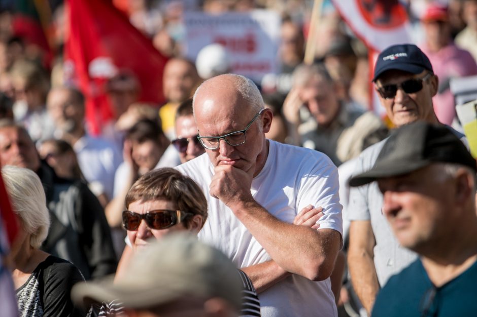 Žinomi žmonės apie mitingą: jau geriau Kaziuko mugė centre nei „šeimų gynėjai“