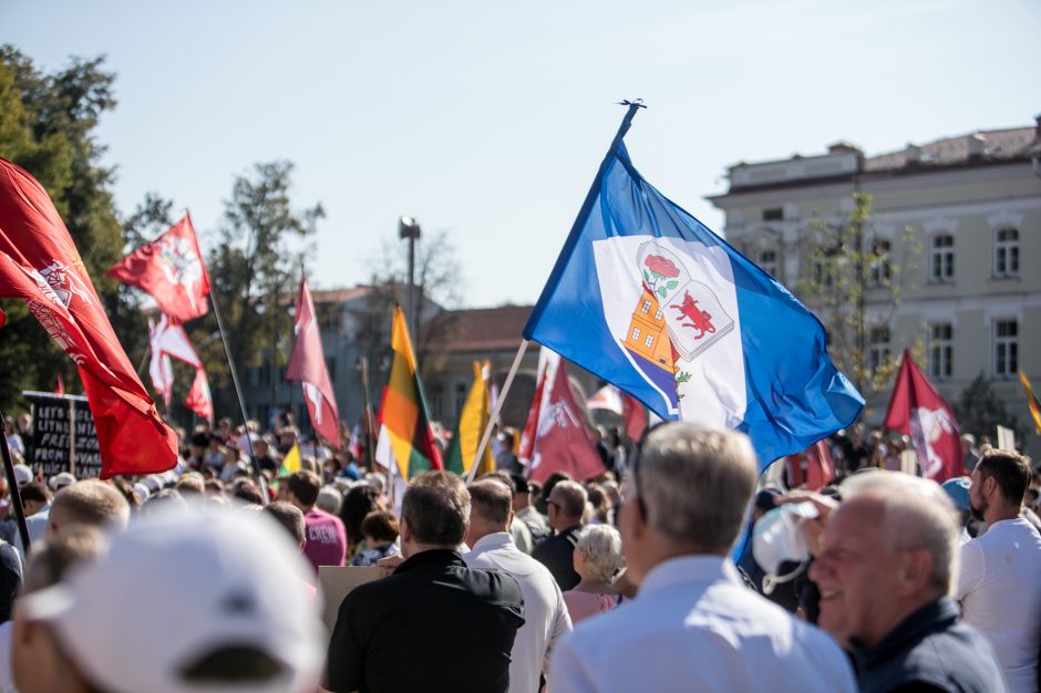 Žinomi žmonės apie mitingą: jau geriau Kaziuko mugė centre nei „šeimų gynėjai“