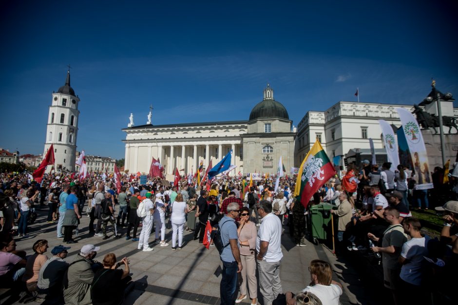 Žinomi žmonės apie mitingą: jau geriau Kaziuko mugė centre nei „šeimų gynėjai“