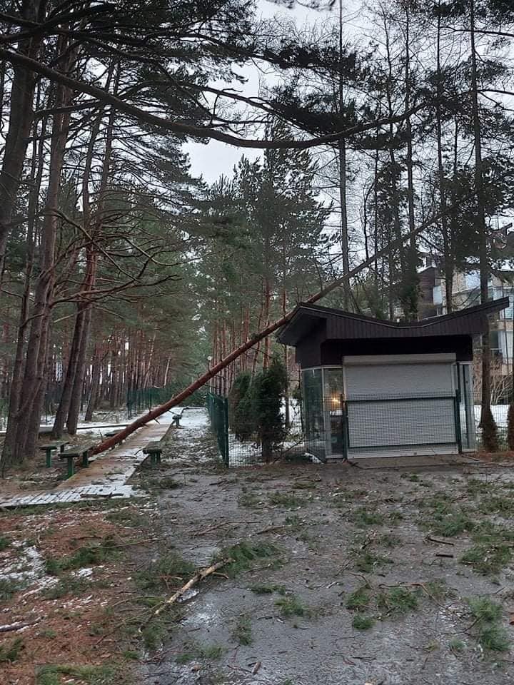 Palangos meras: po naktinės audros bus daug darbo sutvarkyti miestą