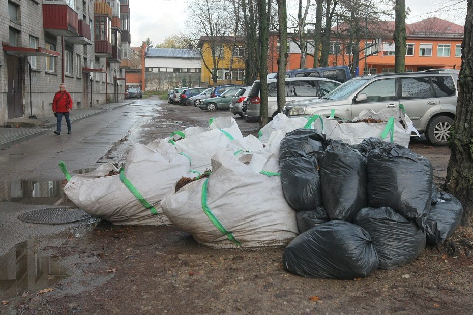 Senų lapų detektyvas: dėl maišų išgabenimo užvirė aistros