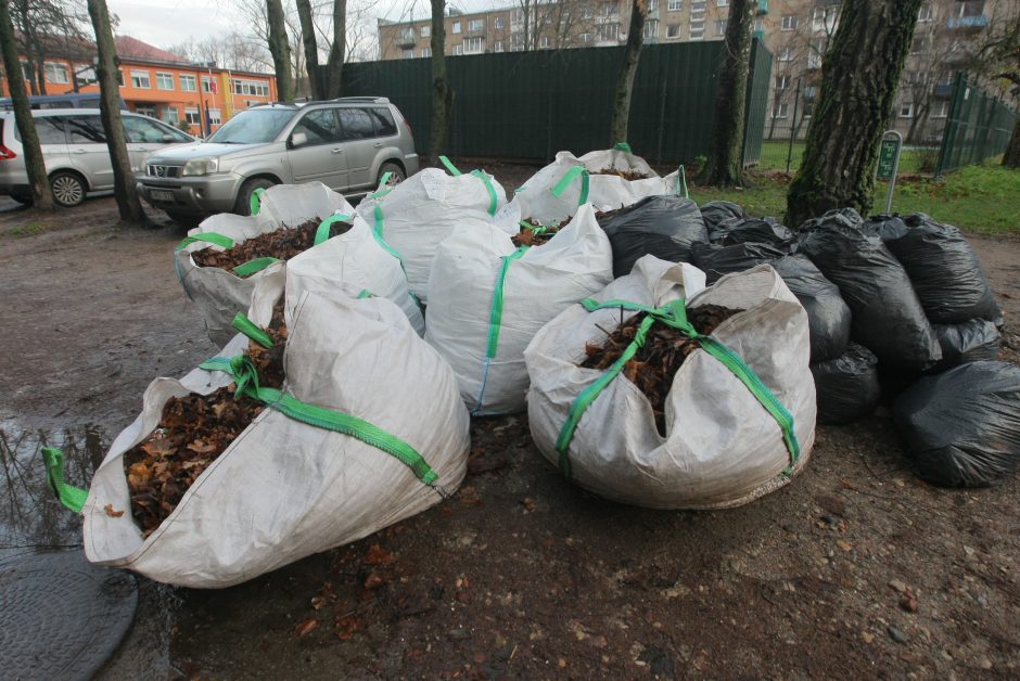 Senų lapų detektyvas: dėl maišų išgabenimo užvirė aistros