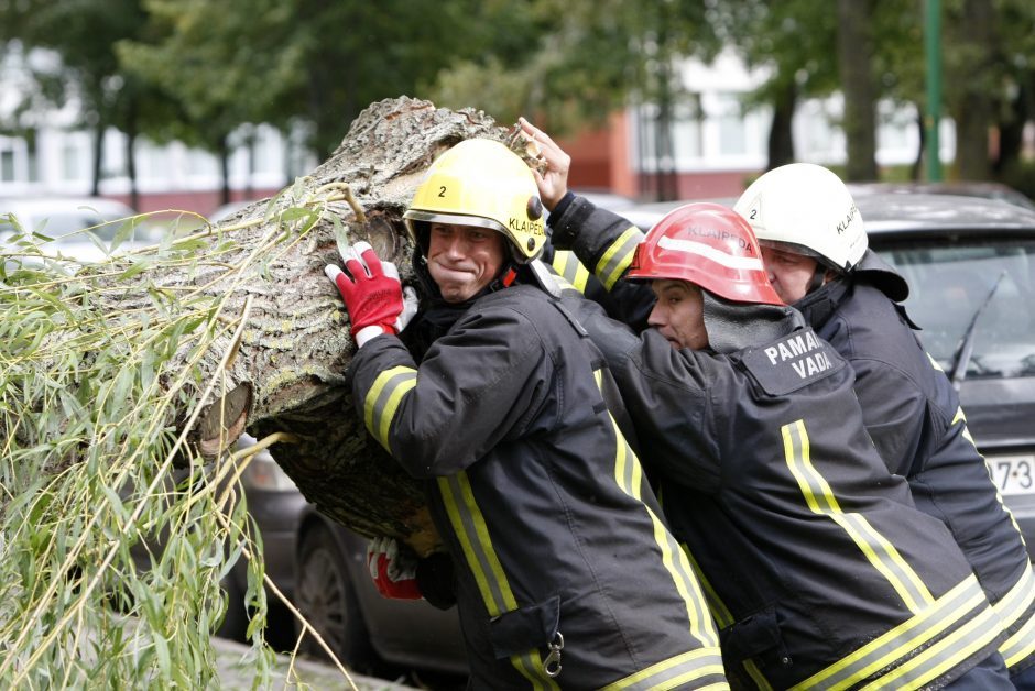 Vėtros padariniai: ugniagesiai penkiolika kartų vyko šalinti vėjo nuverstų medžių