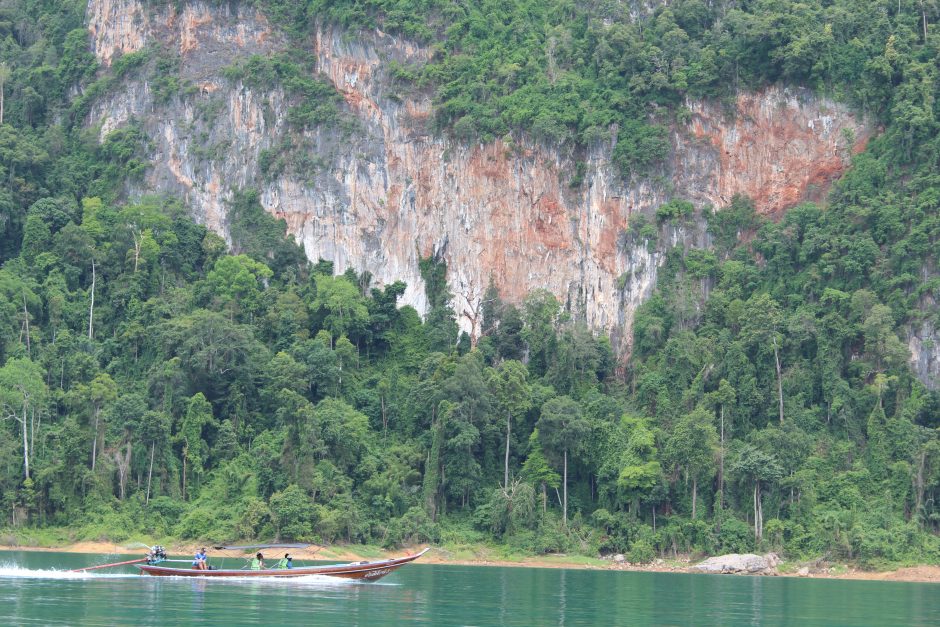 Liaupsėmis apipintas Khao Sok: tarp egzotikos ir baimių