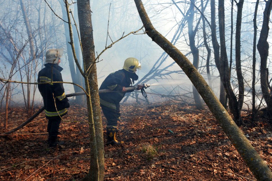 Ukrainoje sudužus lengvajam lėktuvui žuvo du žmonės