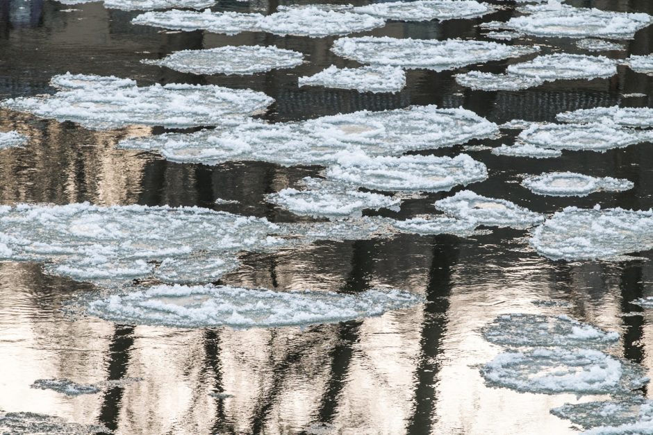 Antrąją Naujųjų metų dieną iš tvenkinių buvo traukiami skenduoliai