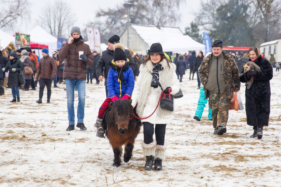 Finišavo tradicinės žirgų lenktynės „Sartai 2019“: kas buvo greičiausias?