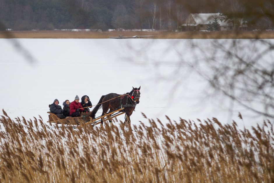 Finišavo tradicinės žirgų lenktynės „Sartai 2019“: kas buvo greičiausias?