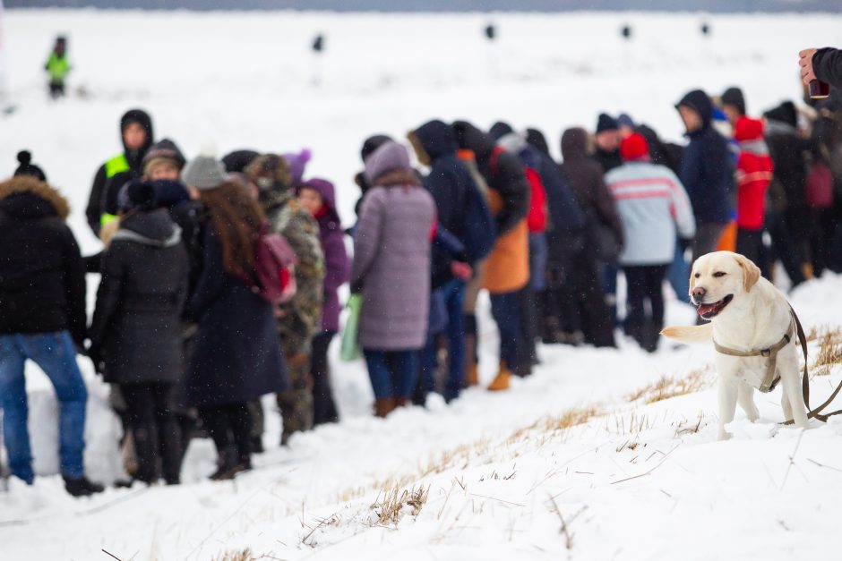 Finišavo tradicinės žirgų lenktynės „Sartai 2019“: kas buvo greičiausias?