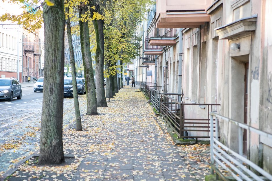 Beda pirštu į lapais nuklotas Kauno gatves: tikrų tikriausia čiuožykla!