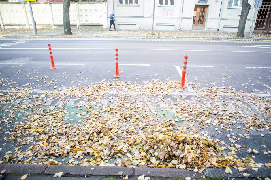 Beda pirštu į lapais nuklotas Kauno gatves: tikrų tikriausia čiuožykla!