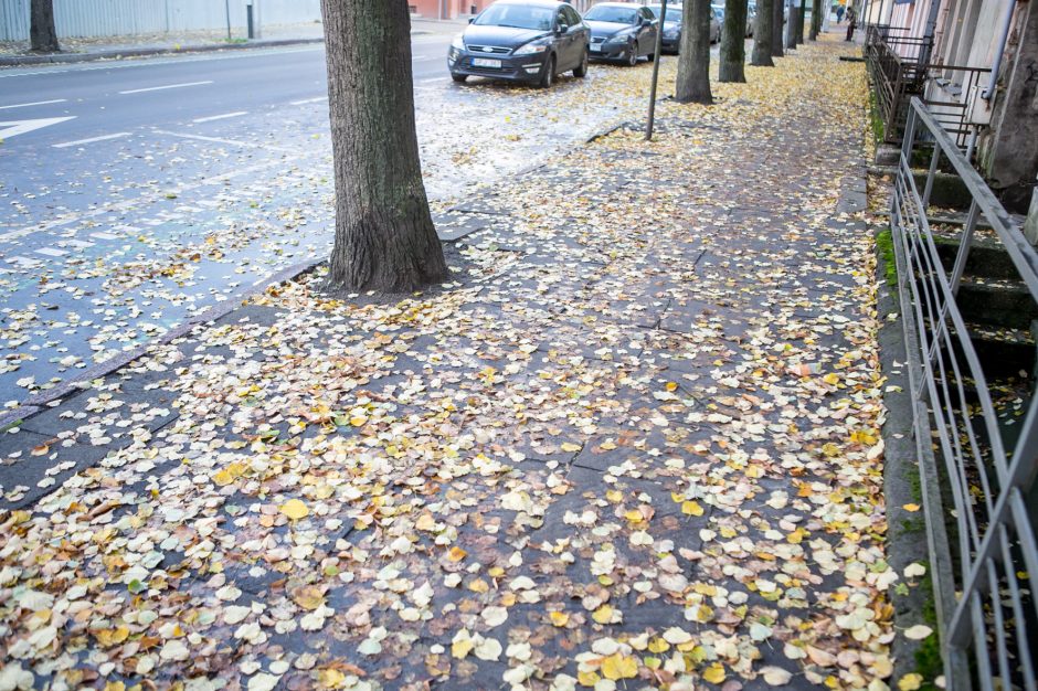 Beda pirštu į lapais nuklotas Kauno gatves: tikrų tikriausia čiuožykla!